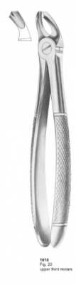  Fig. 20 upper third molars 